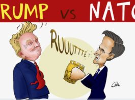Rutte