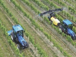 Da Meccagri un interessante approfondimento su Nobili spa