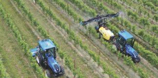 Da Meccagri un interessante approfondimento su Nobili spa