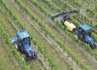 Da Meccagri un interessante approfondimento su Nobili spa