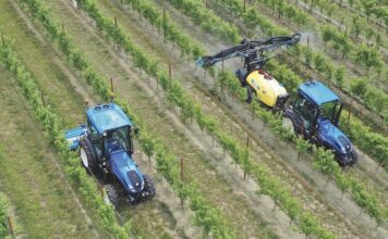 Da Meccagri un interessante approfondimento su Nobili spa