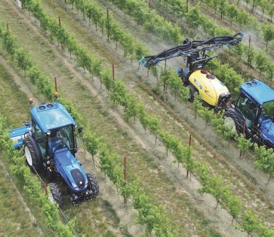 Da Meccagri un interessante approfondimento su Nobili spa