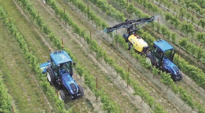 Da Meccagri un interessante approfondimento su Nobili spa