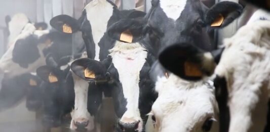 Sottoscritto accordo di collaborazione tra UniCredit e AGEA per semplificare l’accesso al credito delle imprese agricole