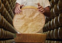 Parmigiano Reggiano: la scienza dimostra che la lavorazione della DOP consente un’attivazione totale dei virus dell’influenza aviaria