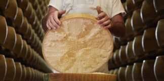 Parmigiano Reggiano: la scienza dimostra che la lavorazione della DOP consente un’attivazione totale dei virus dell’influenza aviaria