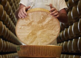 Parmigiano Reggiano: la scienza dimostra che la lavorazione della DOP consente un’attivazione totale dei virus dell’influenza aviaria