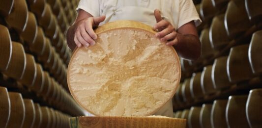 Parmigiano Reggiano: la scienza dimostra che la lavorazione della DOP consente un’attivazione totale dei virus dell’influenza aviaria