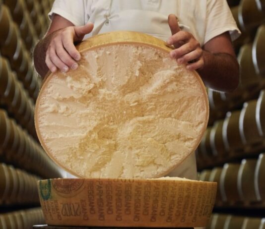Parmigiano Reggiano: la scienza dimostra che la lavorazione della DOP consente un’attivazione totale dei virus dell’influenza aviaria