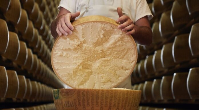 Parmigiano Reggiano: la scienza dimostra che la lavorazione della DOP consente un’attivazione totale dei virus dell’influenza aviaria