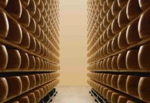 Il Parmigiano Reggiano protagonista alla Milano Design Week 2026: un viaggio sensoriale tra ricerca estetica e alta gastronomia