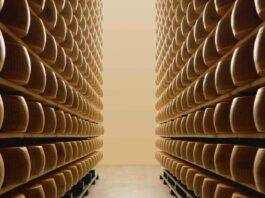 Il Parmigiano Reggiano protagonista alla Milano Design Week 2026: un viaggio sensoriale tra ricerca estetica e alta gastronomia