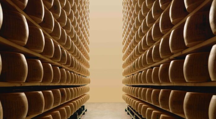 Il Parmigiano Reggiano protagonista alla Milano Design Week 2026: un viaggio sensoriale tra ricerca estetica e alta gastronomia