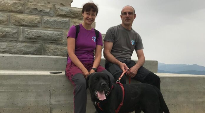 Ora d’aria: AnimalMente