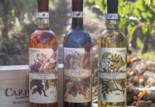 Carpineto porta il gusto toscano nel cuore di Verona