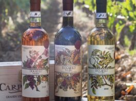 Carpineto porta il gusto toscano nel cuore di Verona