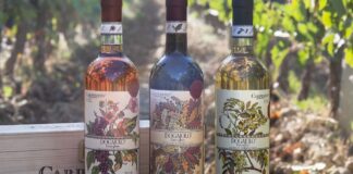 Carpineto porta il gusto toscano nel cuore di Verona