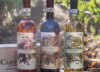 Carpineto porta il gusto toscano nel cuore di Verona