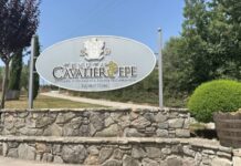 Dove il vino diventa ritorno