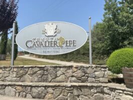 Dove il vino diventa ritorno