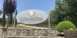 Dove il vino diventa ritorno