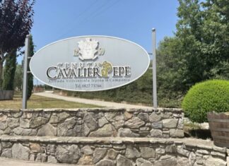 Dove il vino diventa ritorno