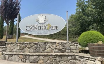 Dove il vino diventa ritorno