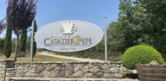 Dove il vino diventa ritorno