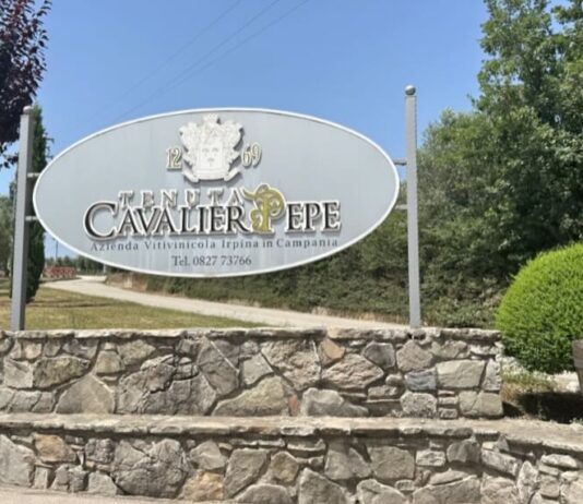 Dove il vino diventa ritorno