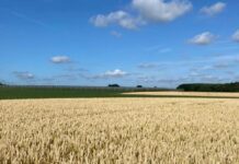 “Cereali e dintorni”. Incombe lo sciopero degli autotrasportatori