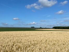 “Cereali e dintorni”. Incombe lo sciopero degli autotrasportatori