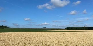 “Cereali e dintorni”. Incombe lo sciopero degli autotrasportatori