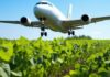 Carburante sostenibile per l’aviazione ricavato dalle barbabietole