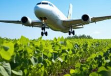 Carburante sostenibile per l’aviazione ricavato dalle barbabietole