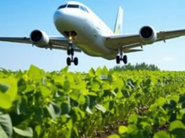 Carburante sostenibile per l’aviazione ricavato dalle barbabietole