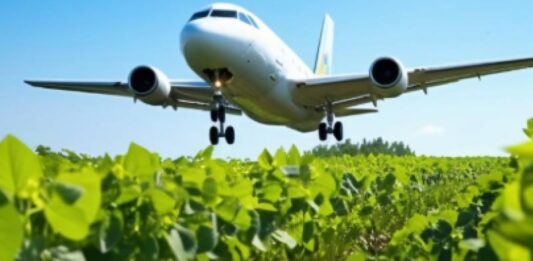 Carburante sostenibile per l’aviazione ricavato dalle barbabietole