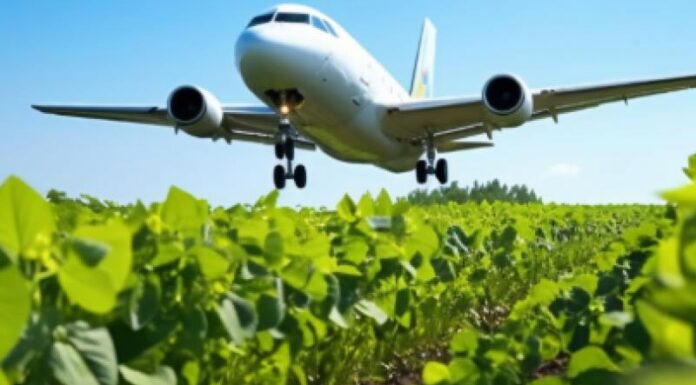 Carburante sostenibile per l’aviazione ricavato dalle barbabietole
