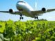 Carburante sostenibile per l’aviazione ricavato dalle barbabietole