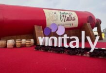 Vino senza alcol o vino a bassa gradazione: evoluzione o snaturamento?