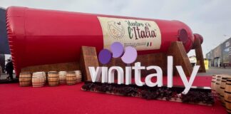 Vino senza alcol o vino a bassa gradazione: evoluzione o snaturamento?