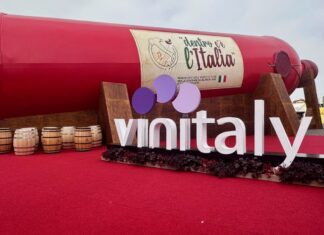 Vino senza alcol o vino a bassa gradazione: evoluzione o snaturamento?