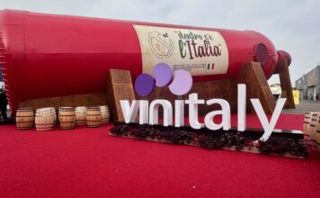 Vino senza alcol o vino a bassa gradazione: evoluzione o snaturamento?