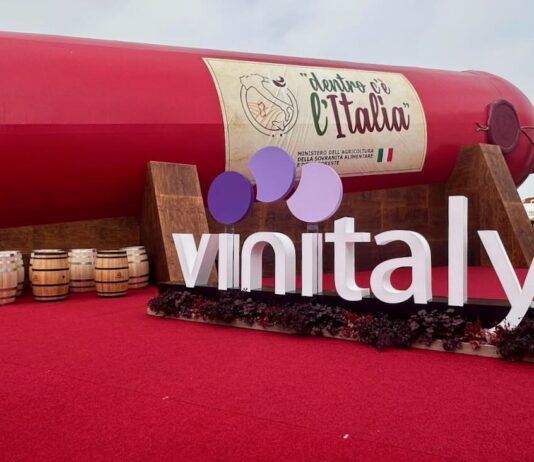 Vino senza alcol o vino a bassa gradazione: evoluzione o snaturamento?