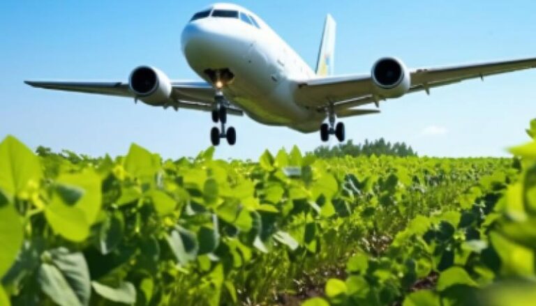 Carburante sostenibile per l’aviazione ricavato dalle barbabietole 