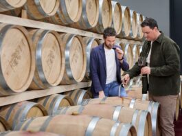 Stiftsgarten e Oberhof: le vigne storiche che raccontano il terroir e l’identità dell’Abbazia di Novacella.