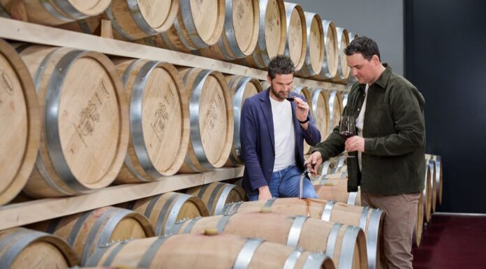 Stiftsgarten e Oberhof: le vigne storiche che raccontano il terroir e l’identità dell’Abbazia di Novacella.