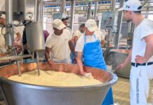 Il Consorzio Del Parmigiano Reggiano Rinnova il bando per due borse di studio dedicate alla formazione dei giovani nell’ambito della tecnologia casearia