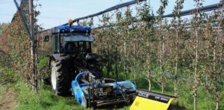 Nobili spa. Il diserbo meccanico nei campi agrivoltaici e non solo.