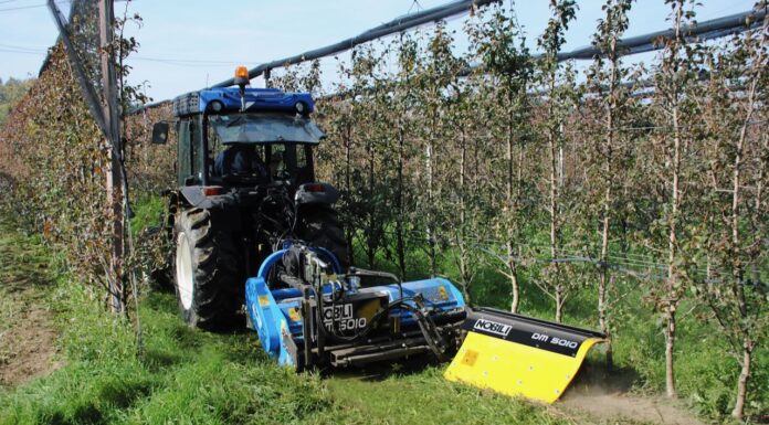Nobili spa. Il diserbo meccanico nei campi agrivoltaici e non solo.