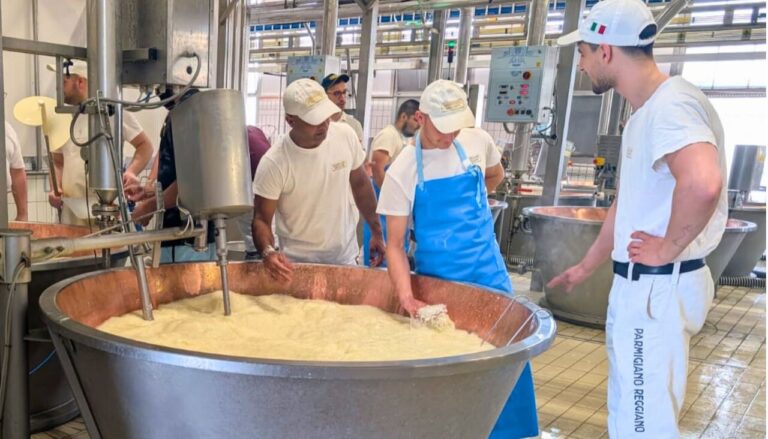 Il Consorzio Del Parmigiano Reggiano Rinnova il bando per due borse di studio dedicate alla formazione dei giovani nell’ambito della tecnologia casearia